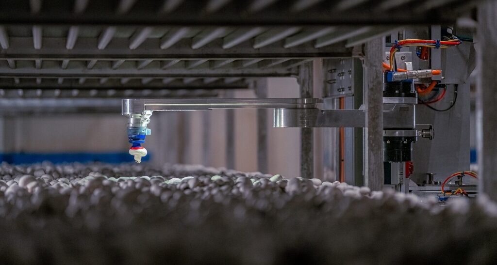 4AG Robotics raises $29m Series B to expand autonomous mushroom harvesting tech