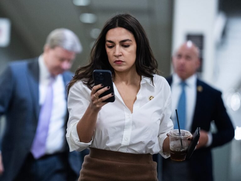 'I don't trust it, I don't like it': Lawmakers sound off on why they don't use AI