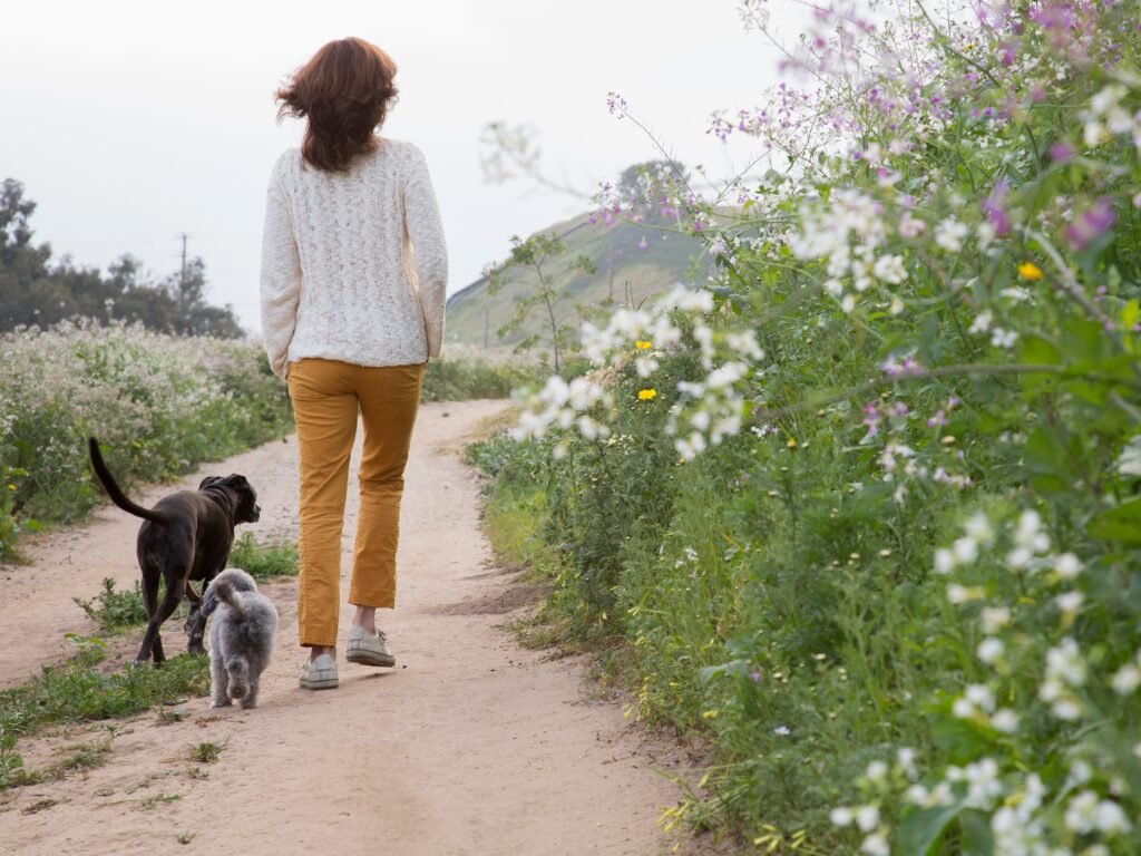 I'm 61 and want to date, but people lose interest when they find out I'm poor. What do I do?