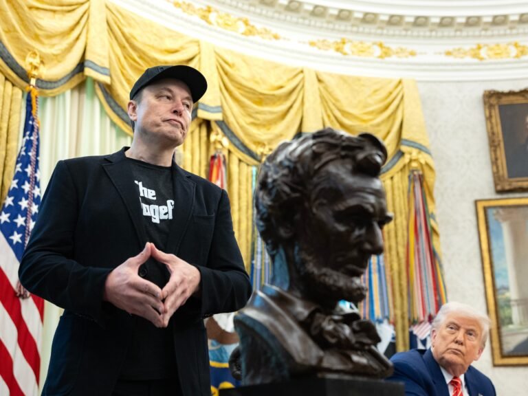 The America Party is right out of the 'Musk playbook'