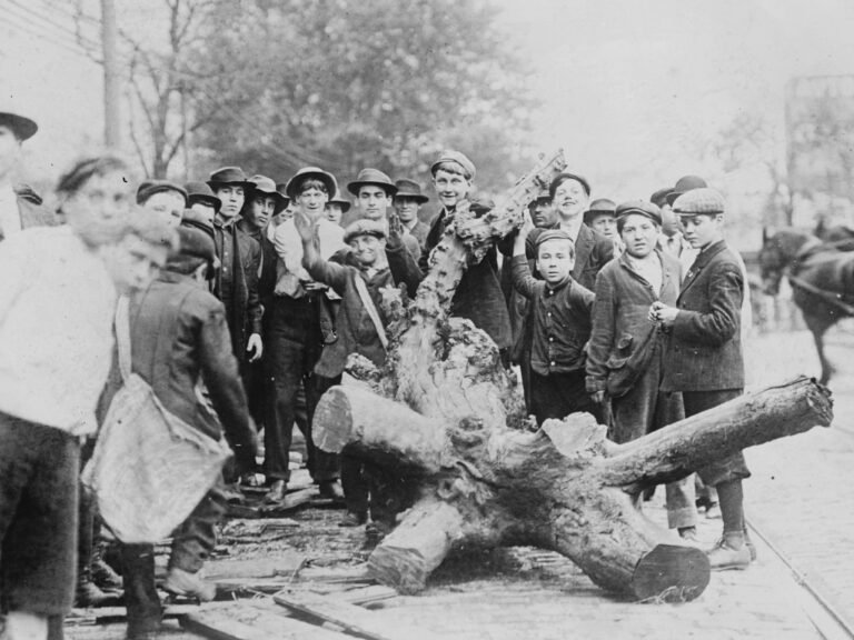 Vintage photos show American life under Trump's tariff hero, William McKinley