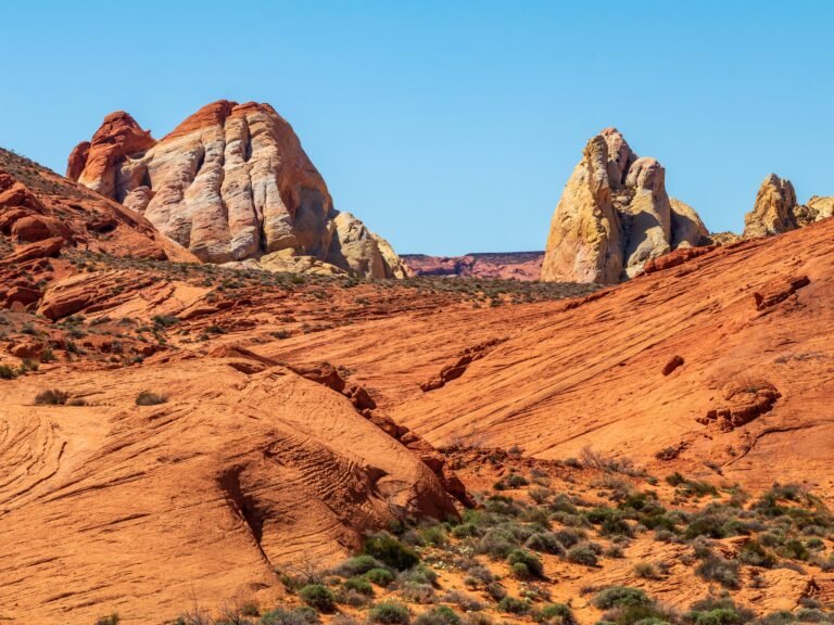 I've traveled to all 50 states. Here are the top 5 I want to revisit.