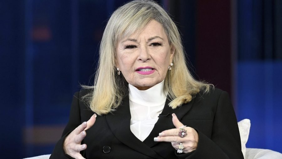 Roseanne Barr on Trump's Epstein response: 'Read the damn room'