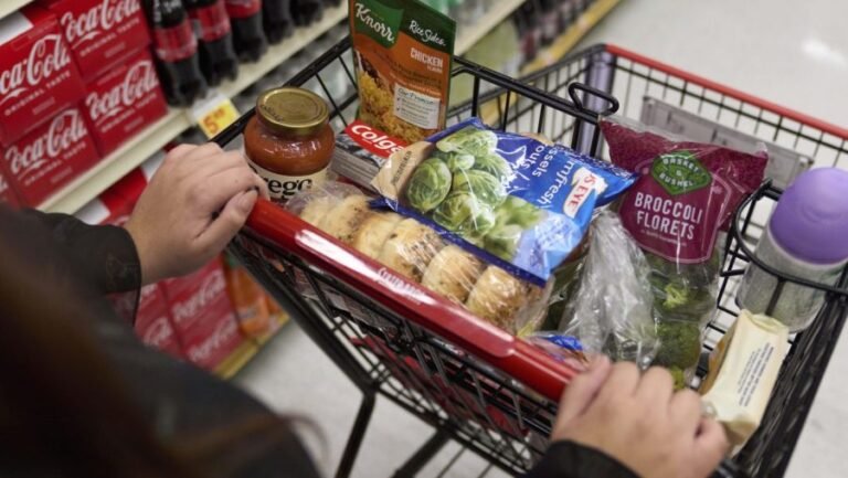 Democrats pick fight over how GOP’s SNAP change hits states
