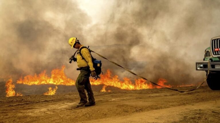 Madre Fire becomes California’s largest wildfire this year