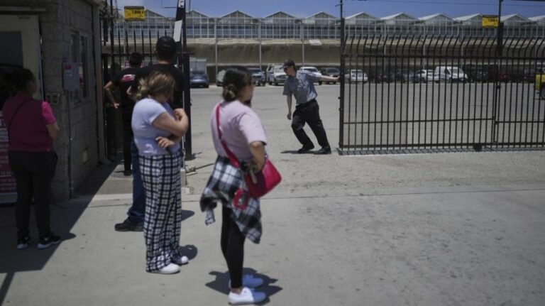 200 arrested, one dead in chaos at California cannabis farm immigration raid