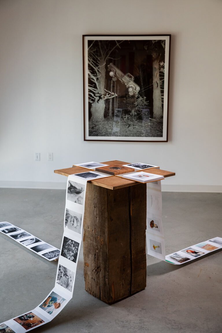 “Armillaria” by Photographer Jonah Reenders