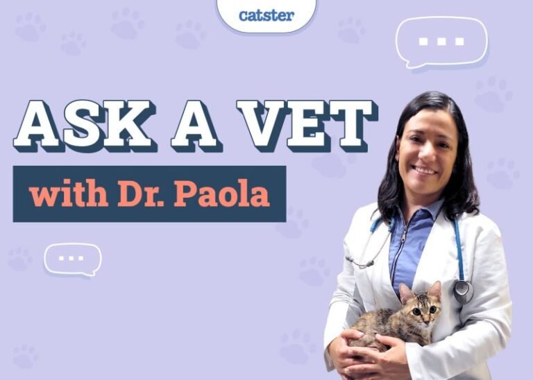 Ask Dr. Paola – Staring, Coughing & Deworming (July 7, 2025)