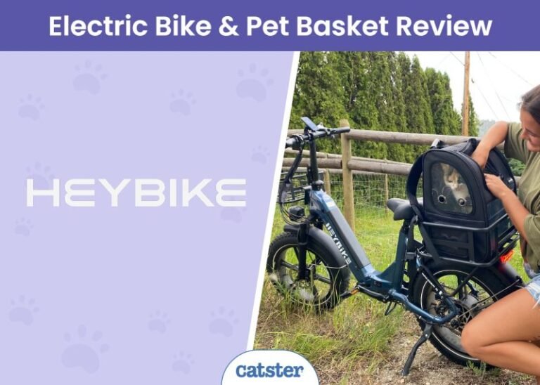 Heybike Ranger S with Front & Rear Baskets Review 2025: Now Your Cats Can Adventure Too