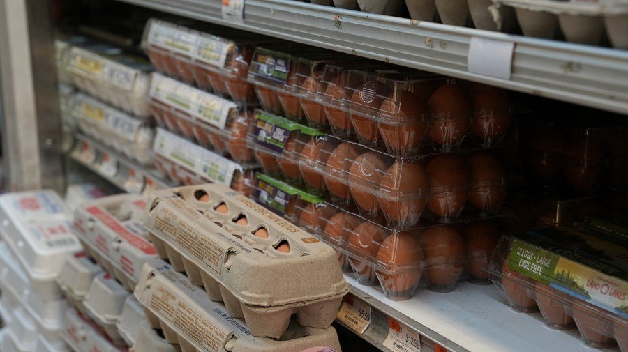 Trump administration sues California over cost of eggs