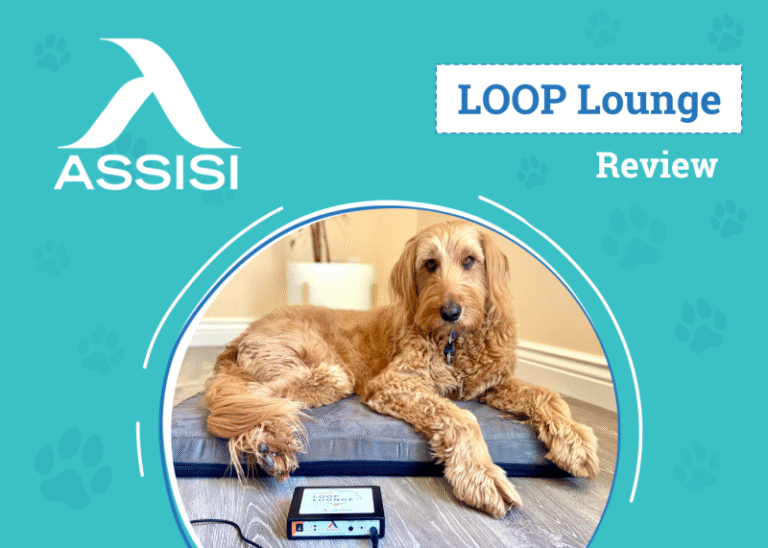 Assisi LOOP Lounge Review 2025: A Natural Way to Heal Your Pet