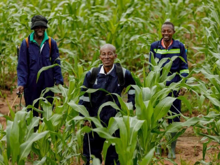 Fresh funding in hand, Complete Farmer eyes expansion of its ag marketplace across Africa
