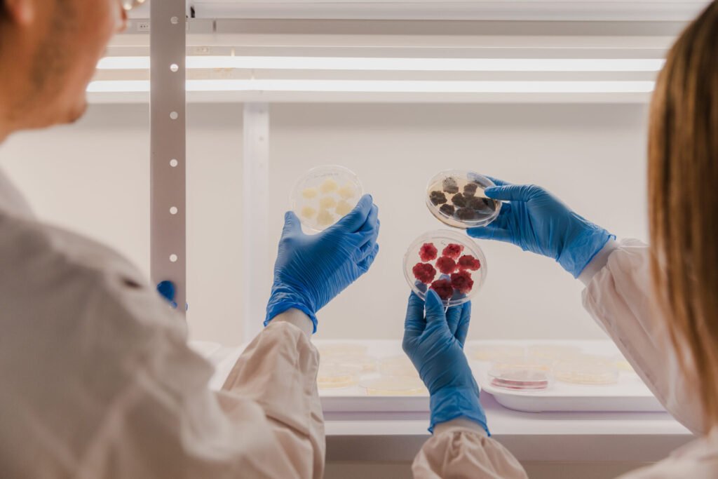 Could plant cell culture pave the way for the next generation of antioxidants and antimicrobials?