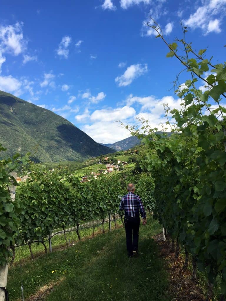 Culinary Hiking Trails in Europe for 2025