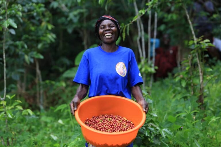 The Week in AgriFoodTech: Mars launches ‘sustainability fund,’ Bunge & Viterra merge, Olo goes private