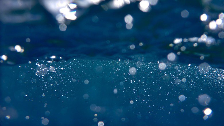 More Bubbles Means More Variation in Ocean Carbon Storage