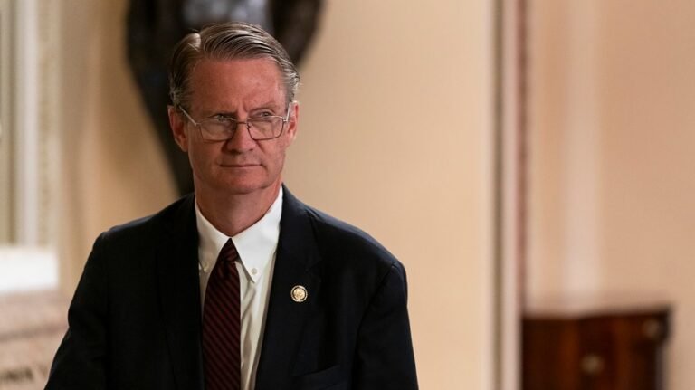 GOP rep says he believes Epstein files were destroyed