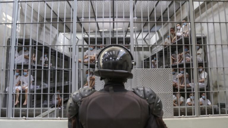 El Salvador: Detained migrants are responsibility of US