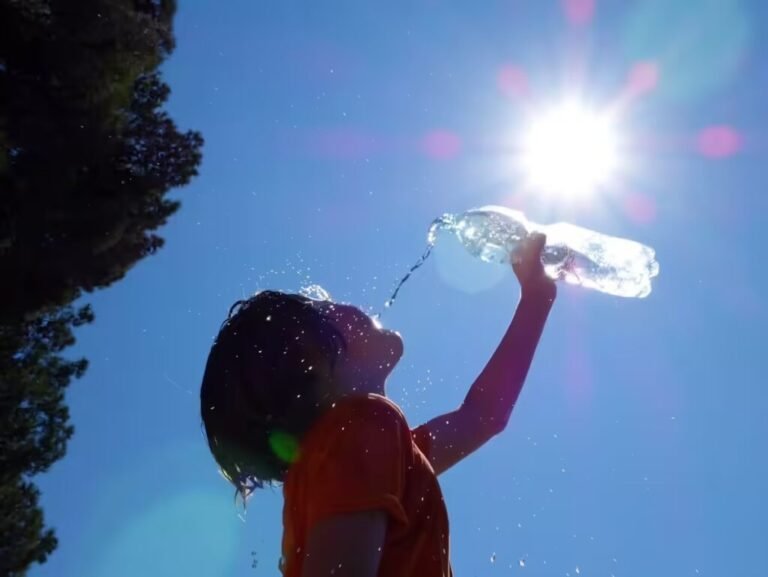 Scorched Economies: The Growing Impact of Heatwaves on GDP
