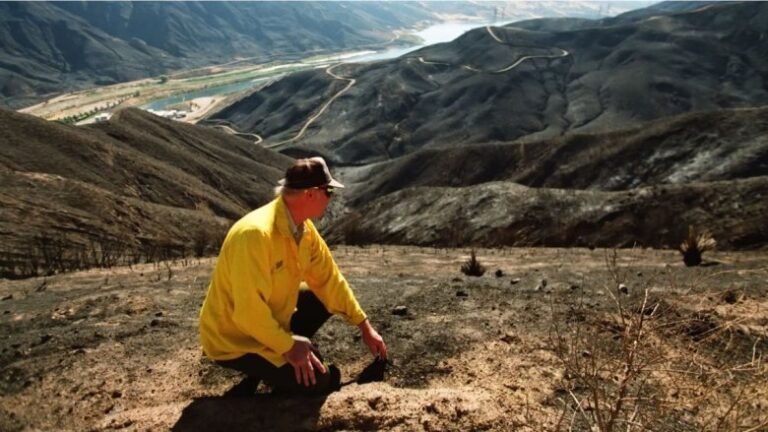 Pollution from Wildfires Can Contaminate Our Water for up to 8 Years, Study Finds
