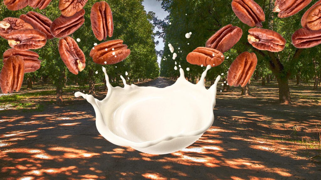 Why pecan milk Is suddenly crushing it