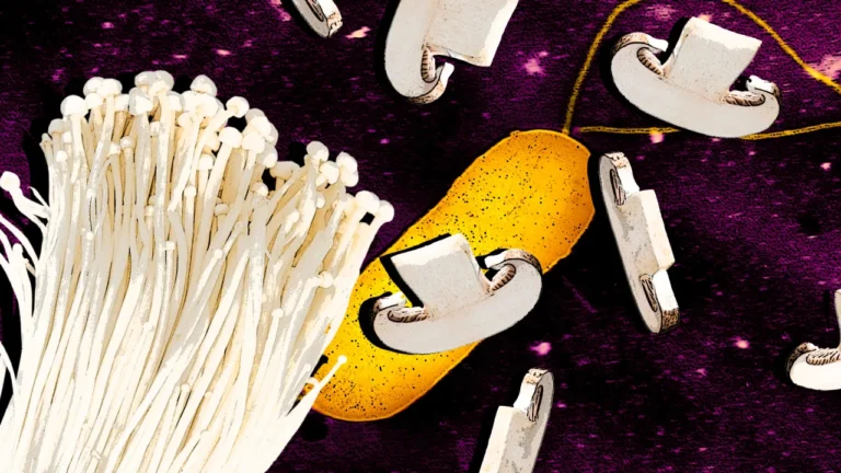 Mushrooms are being recalled over Listeria fears in two separate FDA notices: Avoid these products