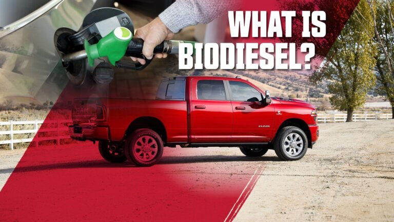 Biodiesel vs Diesel: What's the Difference?