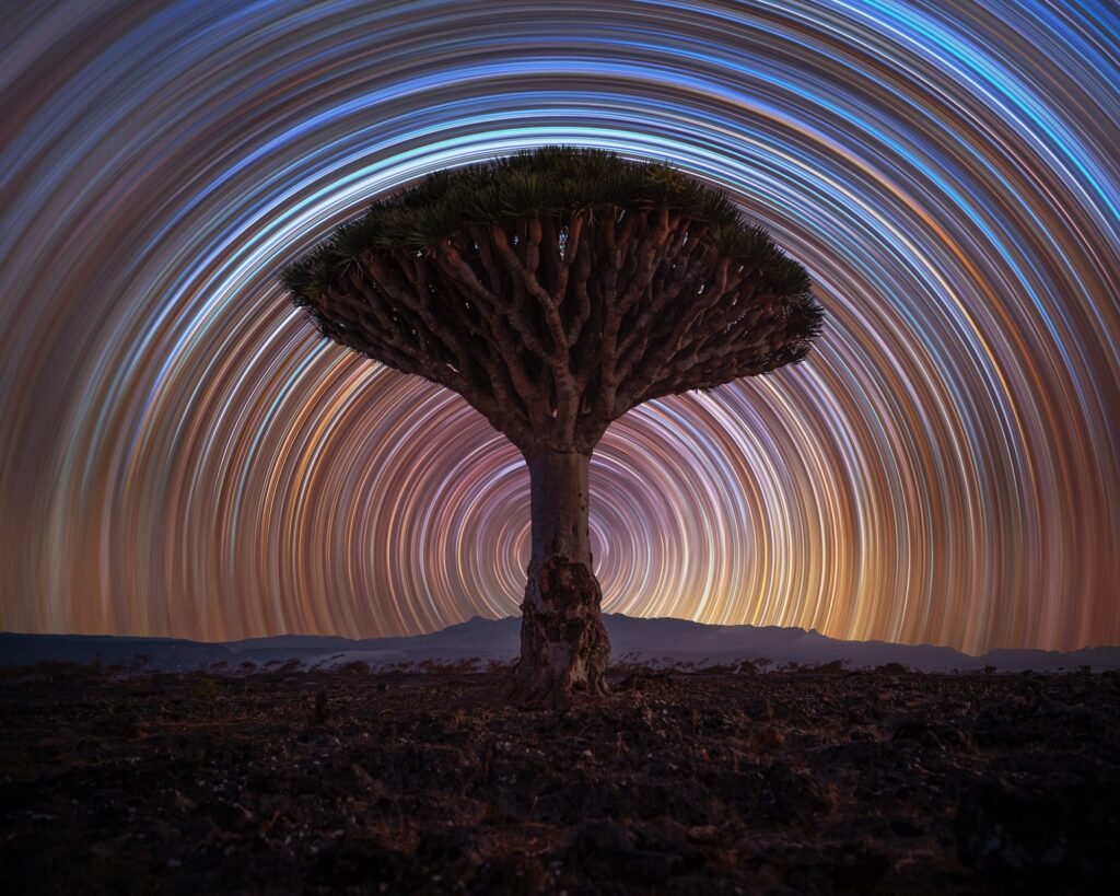 The ZWO Astronomy Photographer of the Year 2025 Shortlist Revels in Our Remarkable Solar System