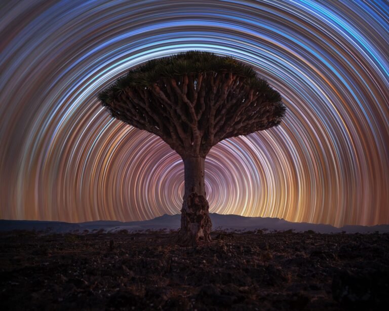 The ZWO Astronomy Photographer of the Year 2025 Shortlist Revels in Our Remarkable Solar System