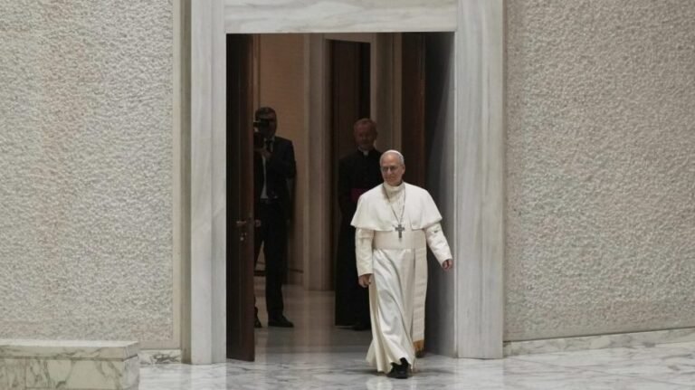 Pope Leo calls for peace as Trump, Putin meet about Russia-Ukraine war