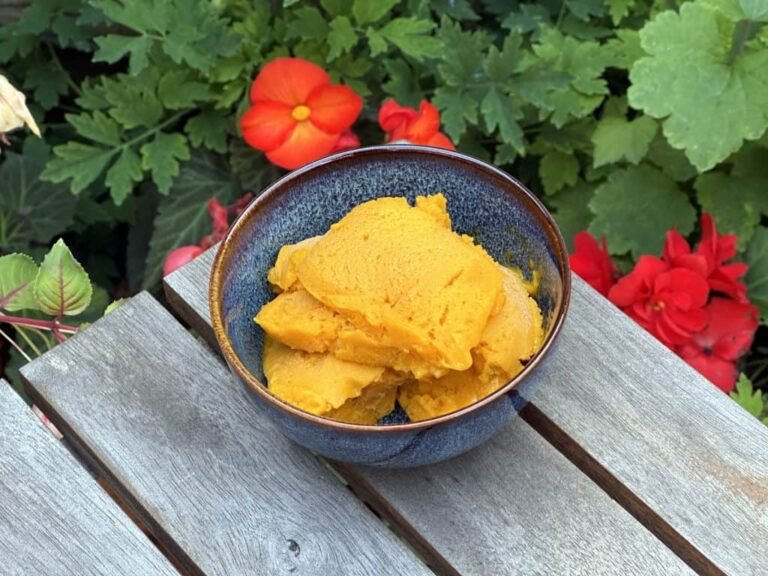 Ninja Creami Mango Sorbet