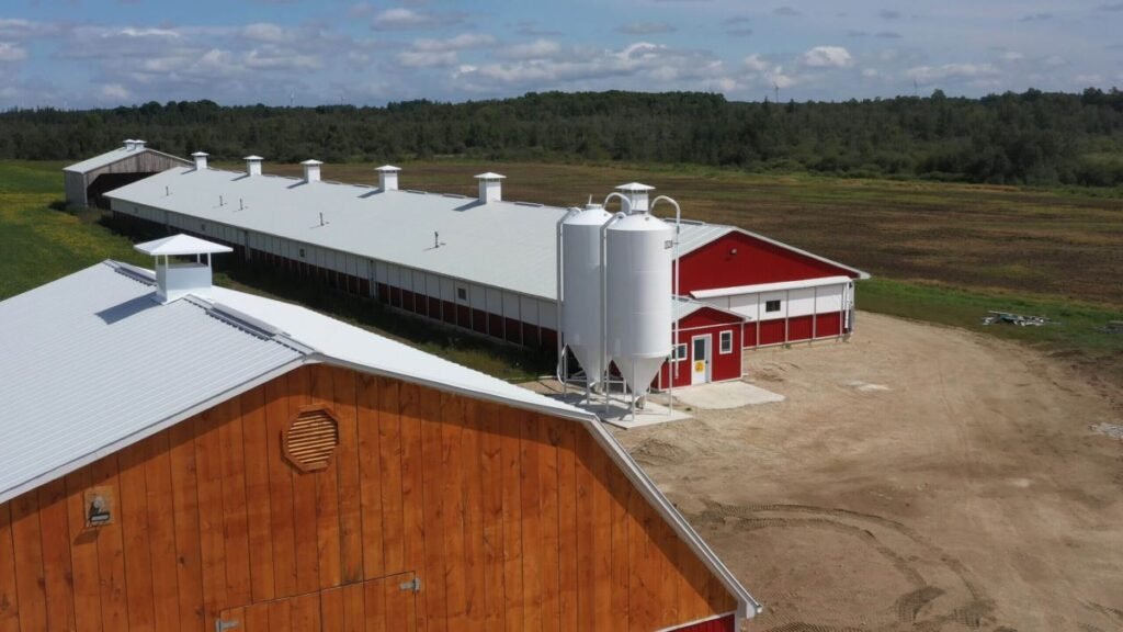 BinSentry to expand globally with AI-based feed logistics platform after $50 million raise