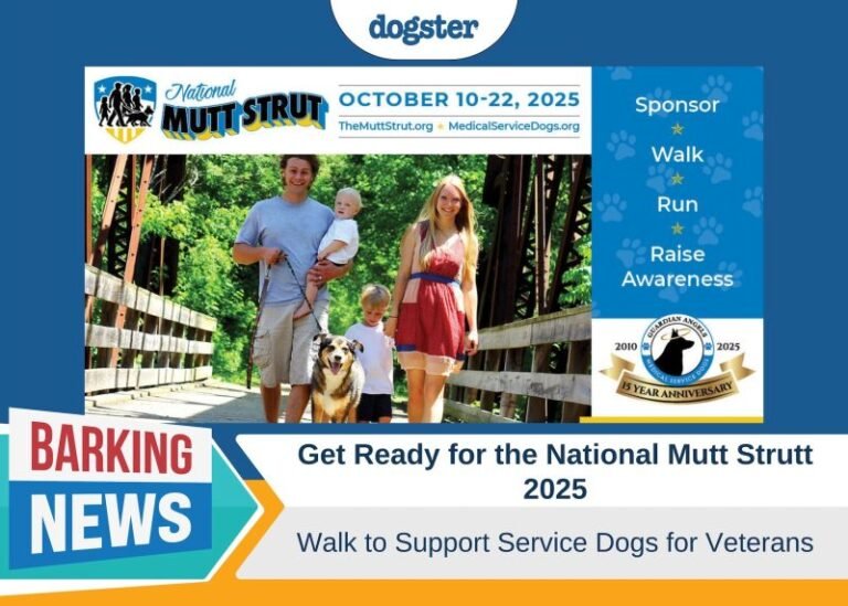 Get Ready for the National Mutt Strutt 2025: Walk to Support Service Dogs for Veterans