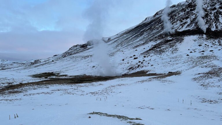 As the Arctic Warms, Soils Lose Key Nutrients