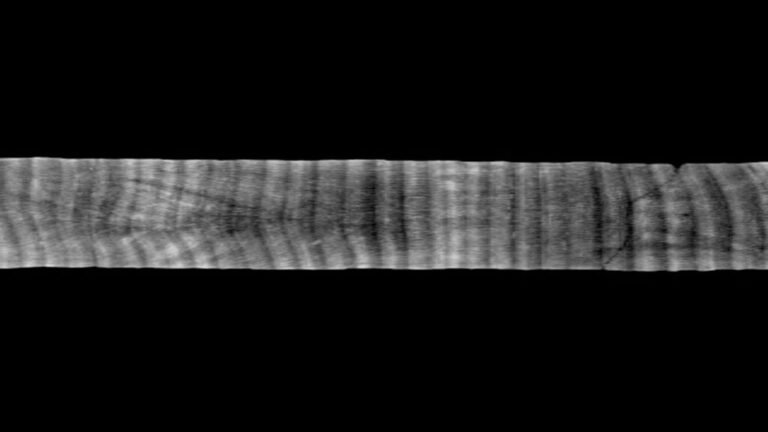 Un repositorio de núcleos de coral diseñado para la transparencia y accesibilidad