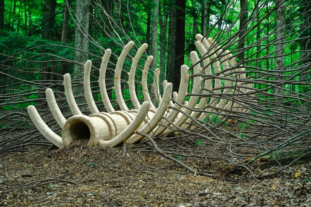 Six Acclaimed Artists Interpret Ecology and the Landscape for ‘Ground/work 2025’
