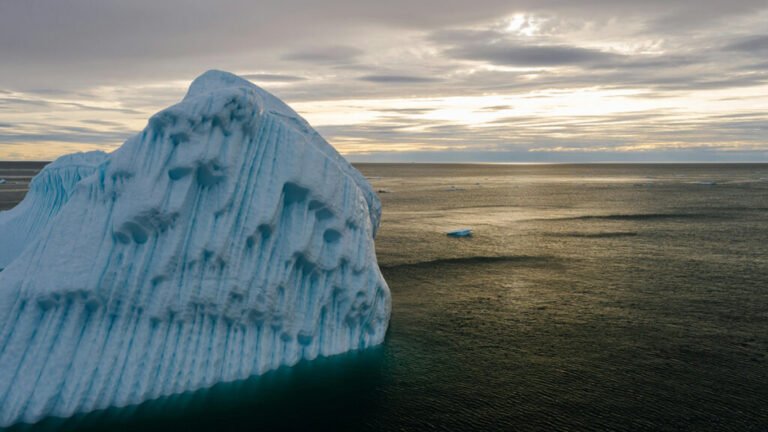 Arctic Ice Shelf Theory Challenged by Ancient Algae