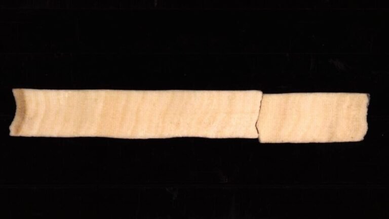 Coral Cores Pinpoint Onset of Industrial Deforestation