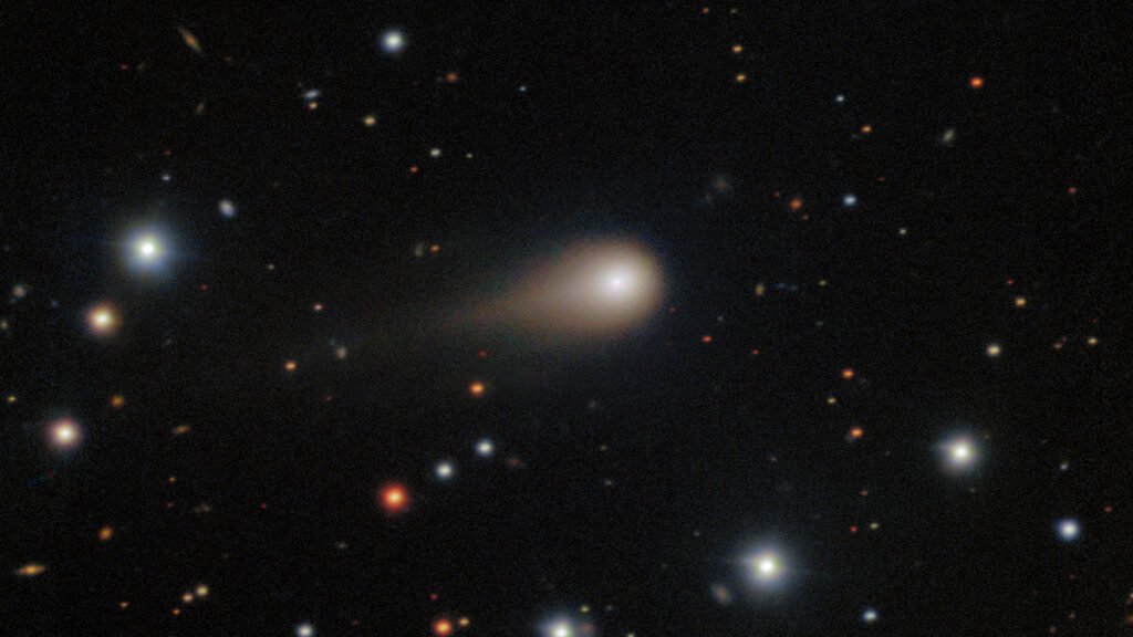 How an Interstellar Interloper Spurred Astronomers into Action