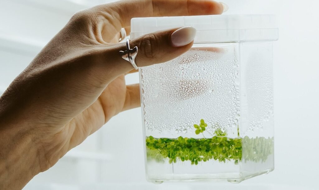 Aspyre Foods taps duckweed for casein and RuBisCO: ‘We’re maximizing the biomass value’