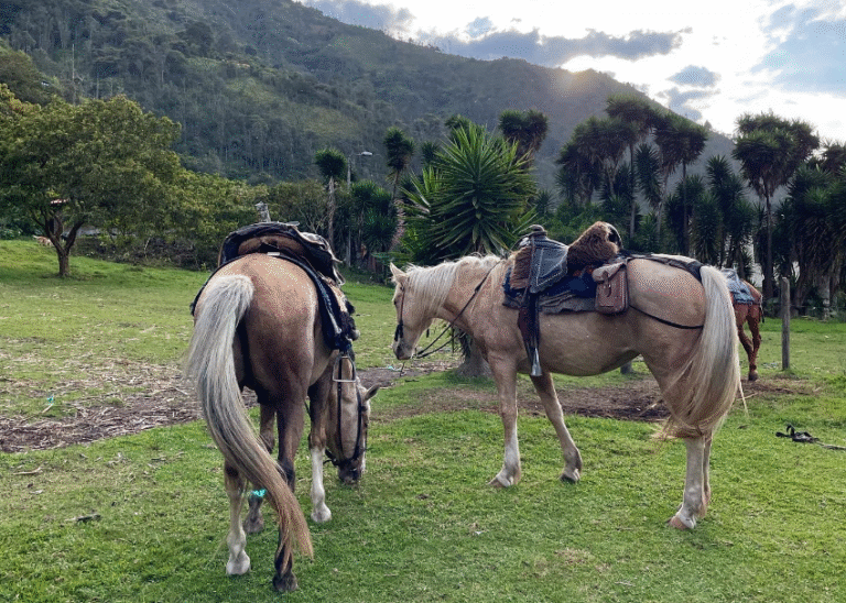 Beyond the Galápagos: my top 5 Ecuador experiences