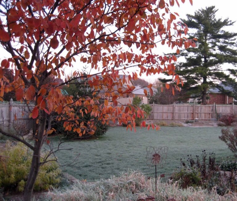 What you do when the first frost of fall arrives tells us a lot about how you garden