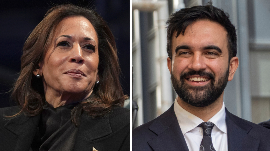 Harris on Mamdani endorsement: 'I support the Democrat in the race'