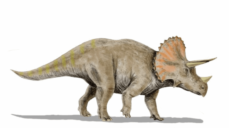 Move Over, Beavers. Dinosaurs Might Also Have Been Nature’s Engineers