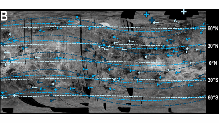 New Evidence for a Wobbly Venus?