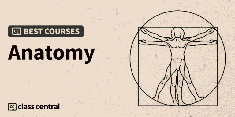 7 Best Human Anatomy Courses for 2025