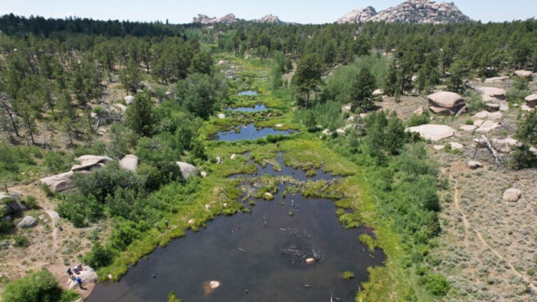 What Makes Beaver Ponds Bigger?
