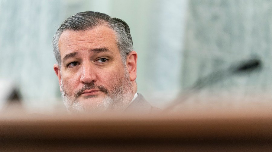 Cruz: 'You cannot be prosecuted for speech'
