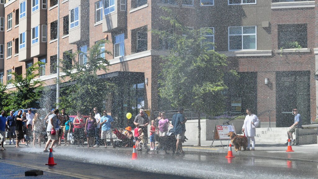 Extreme Heat in U.S. Cities Revealed at High Resolution