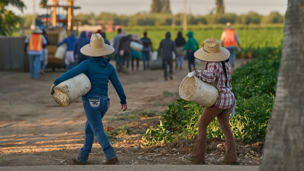 Census Bureau data reveals U.S. labor force has lost over 1.2 million immigrants